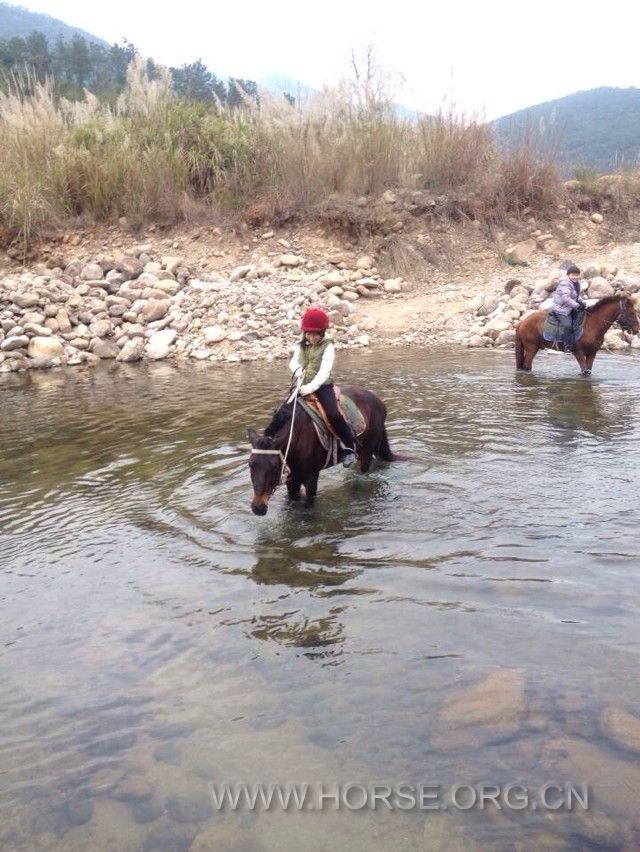 福州马术野骑