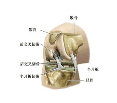 QQ图片20140622164951.jpg