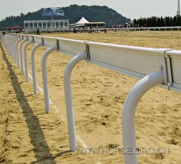 horse racing rail 1.jpg