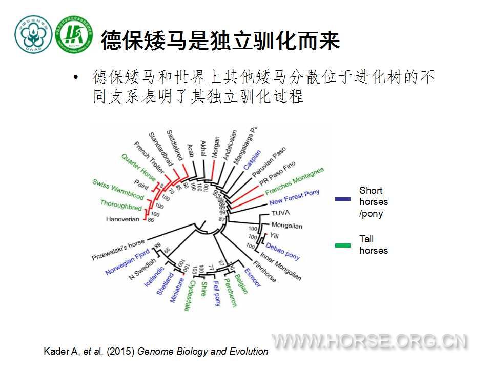 幻灯片7.jpg