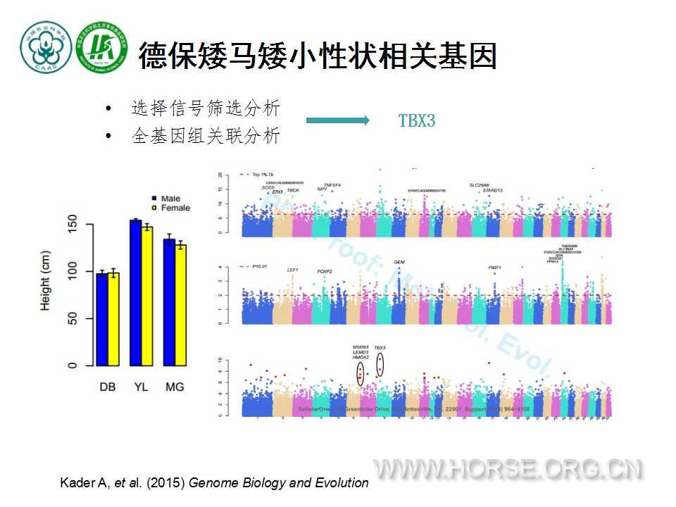 幻灯片18.jpg