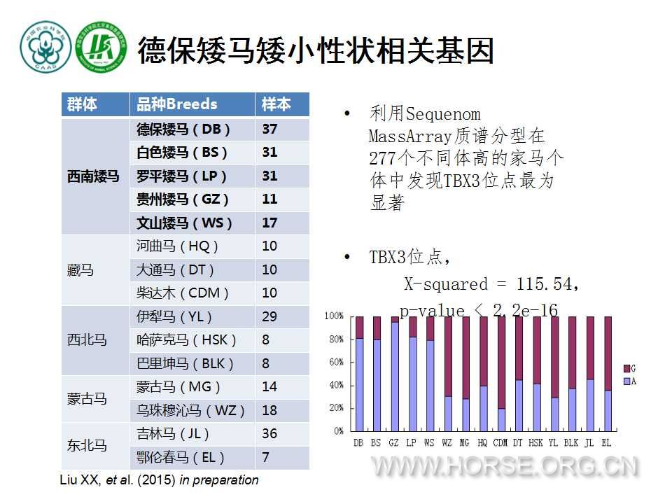 幻灯片19.jpg