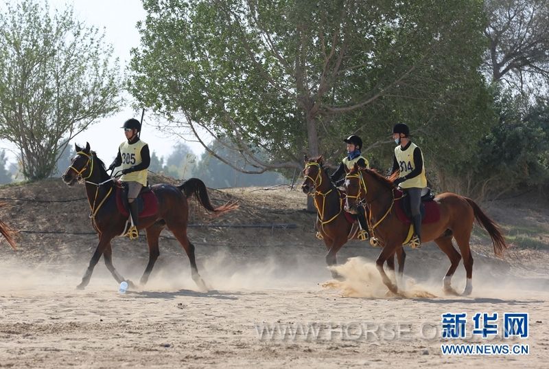 中国骑手在比赛途中。新华网记者李震 摄.JPG