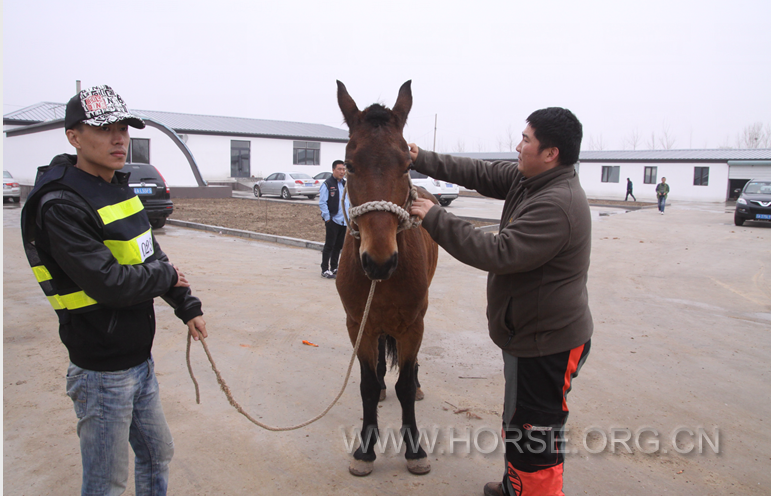 guozhuang1975_1460910077264_29.png