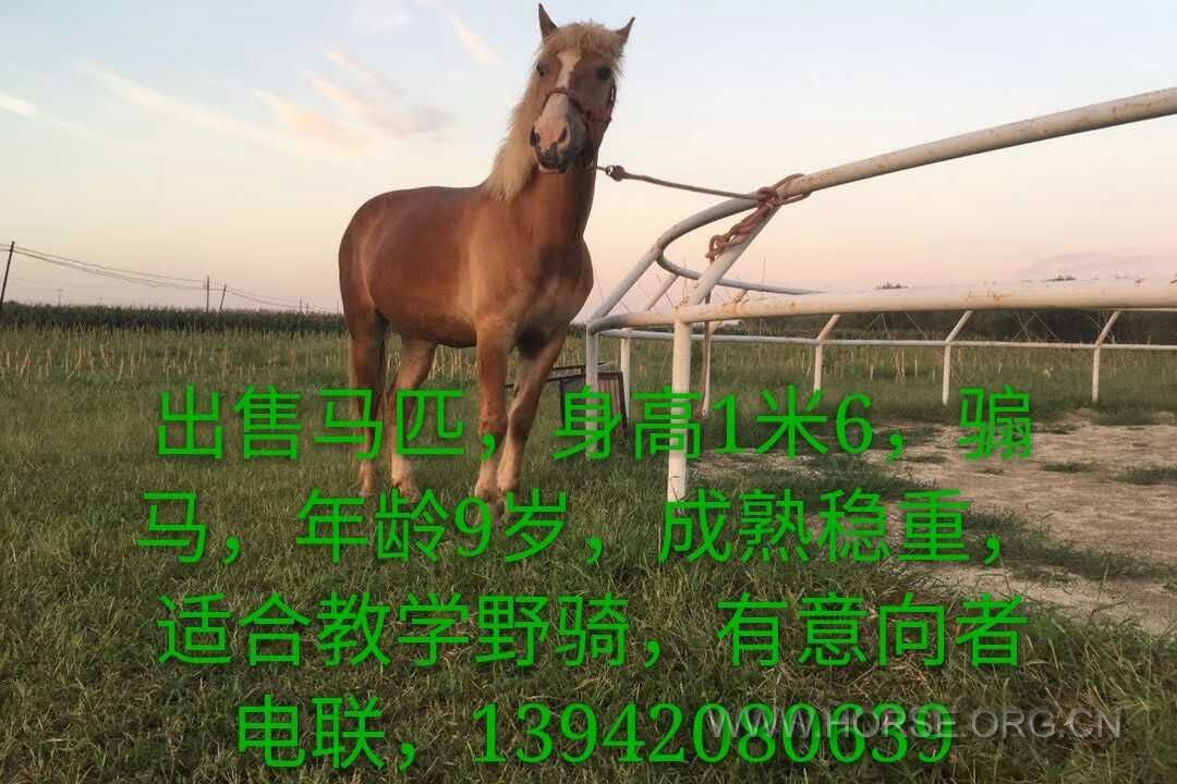 请拨18018936356