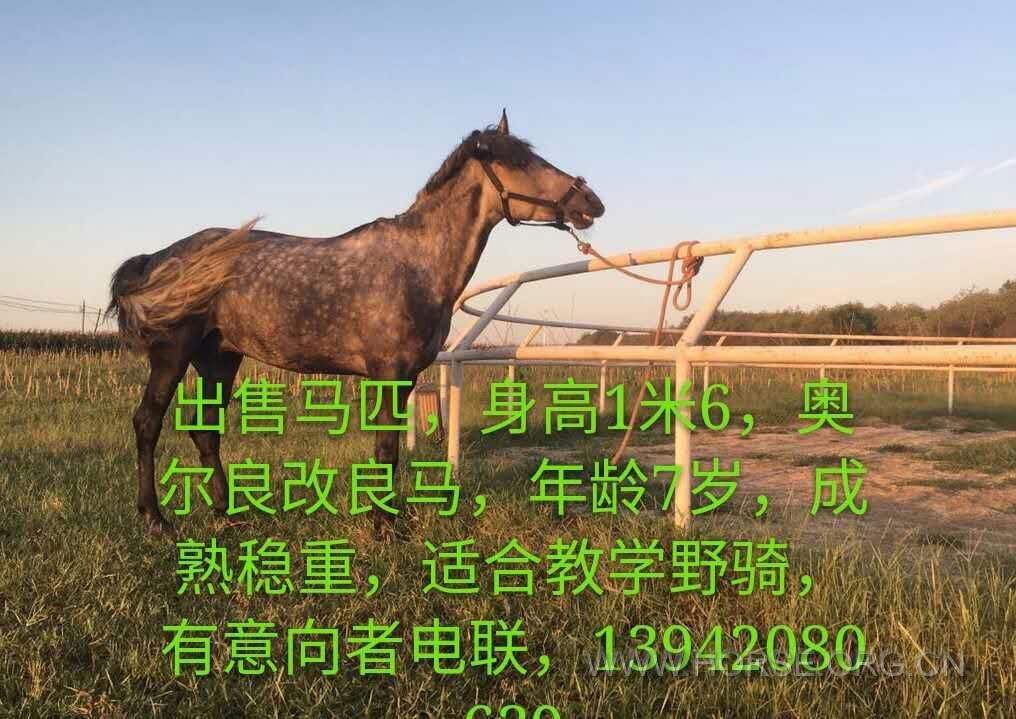 请拨18018936356