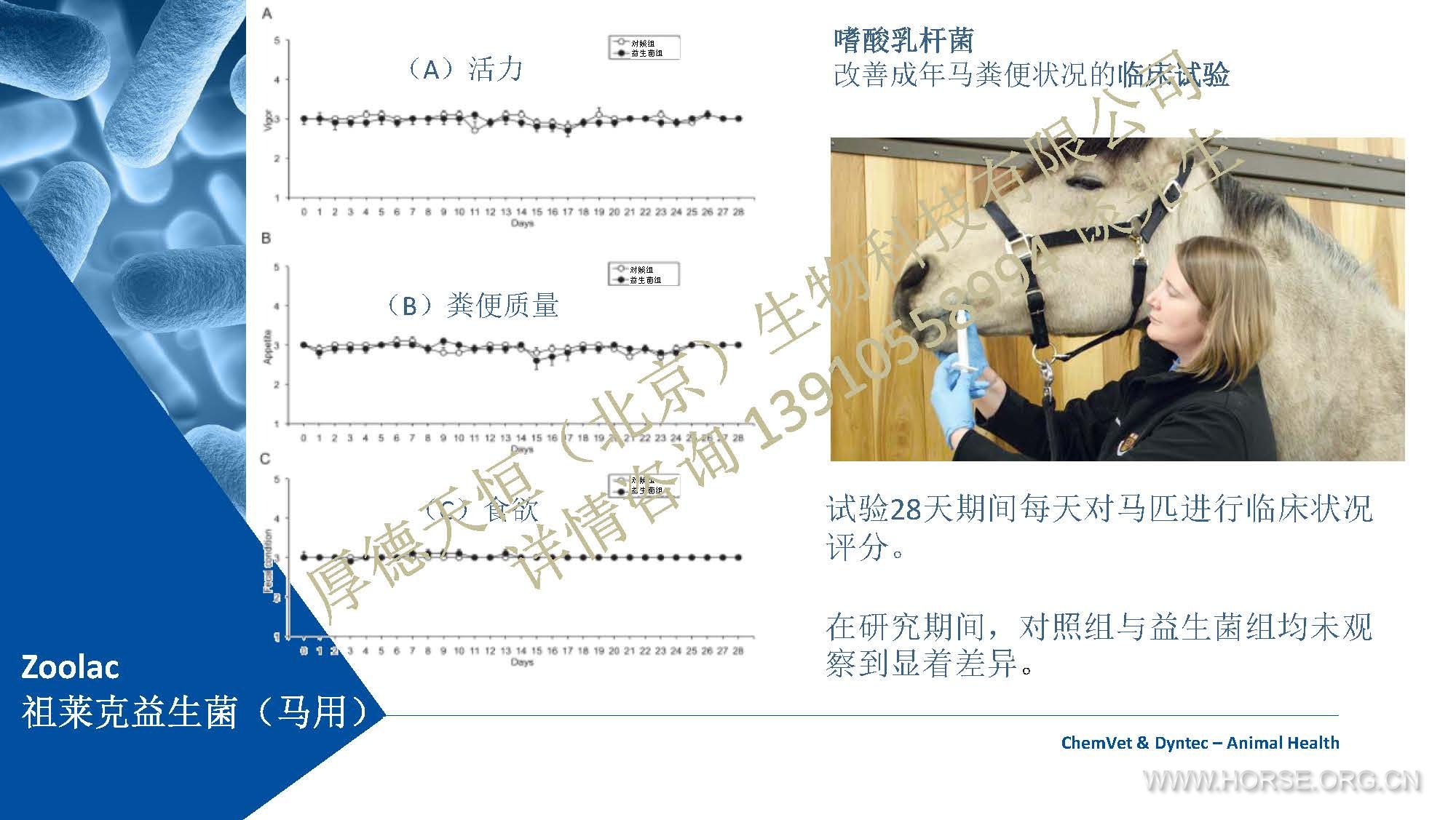 Zoolac公司产品介绍 2019 (中文)-马用-编辑素材 （公司水印电话版）_Page_12.jpg.jpg