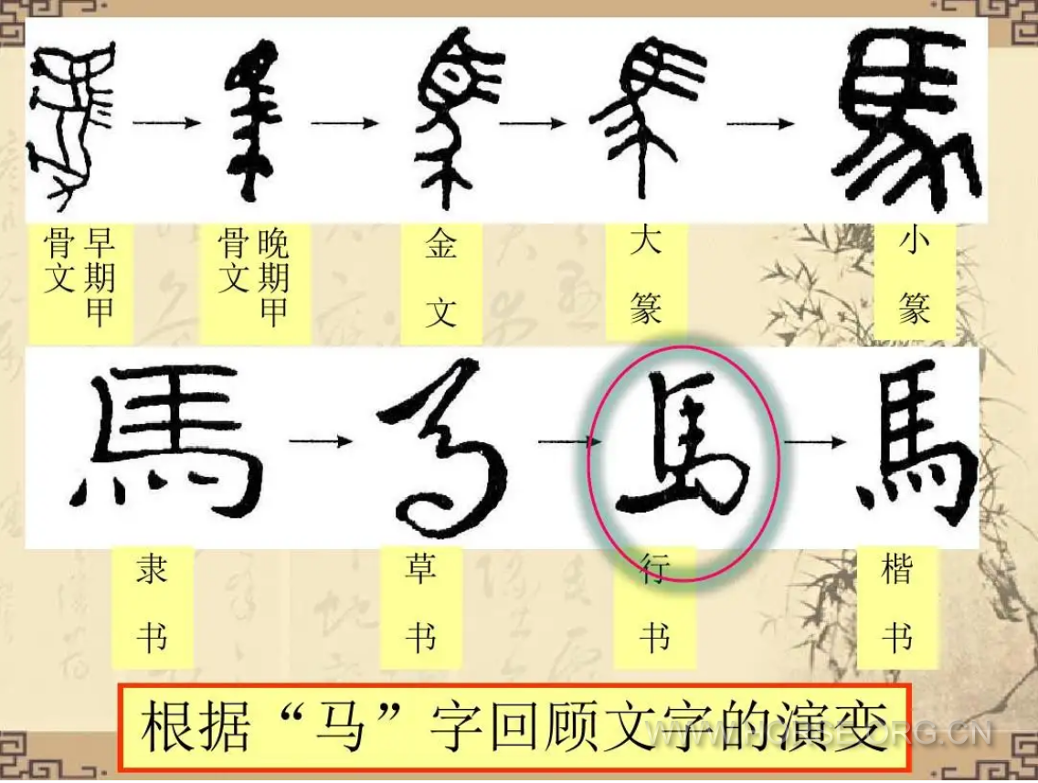 马字演化2.png