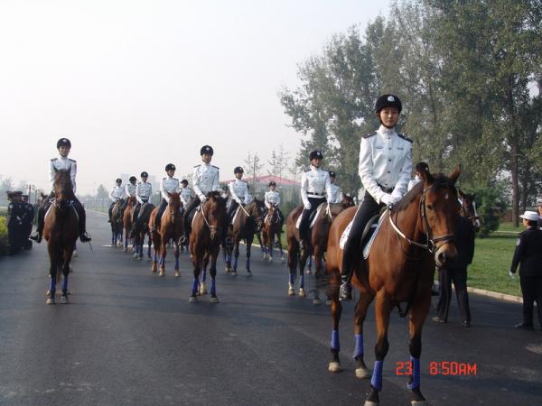 [贴图]大连女骑警英姿！酷！