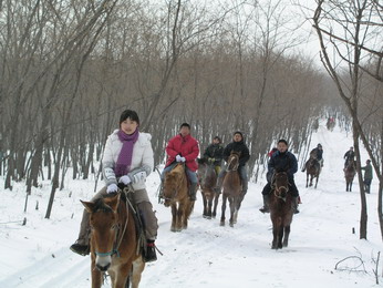 林海雪原（二）