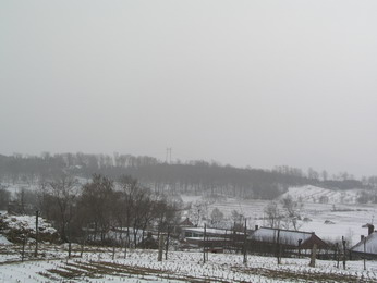 林海雪原（二）