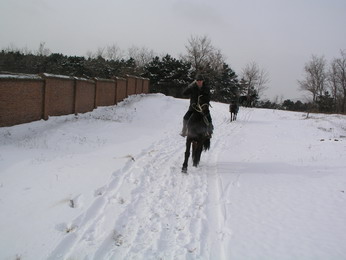 林海雪原（三）