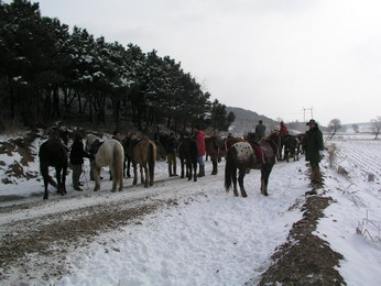 林海雪原（三）