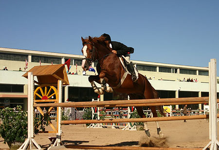 2005-09-17中澳友谊赛－飞跃