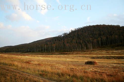 十一坝上骑马体验之美丽风景篇