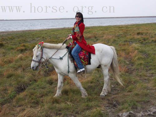 十一坝上骑马体验之仙女下凡