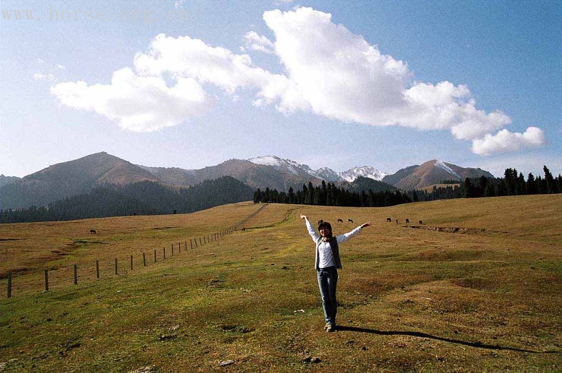 [贴图][原创]最美的还是我们新疆之天山牧场穿行