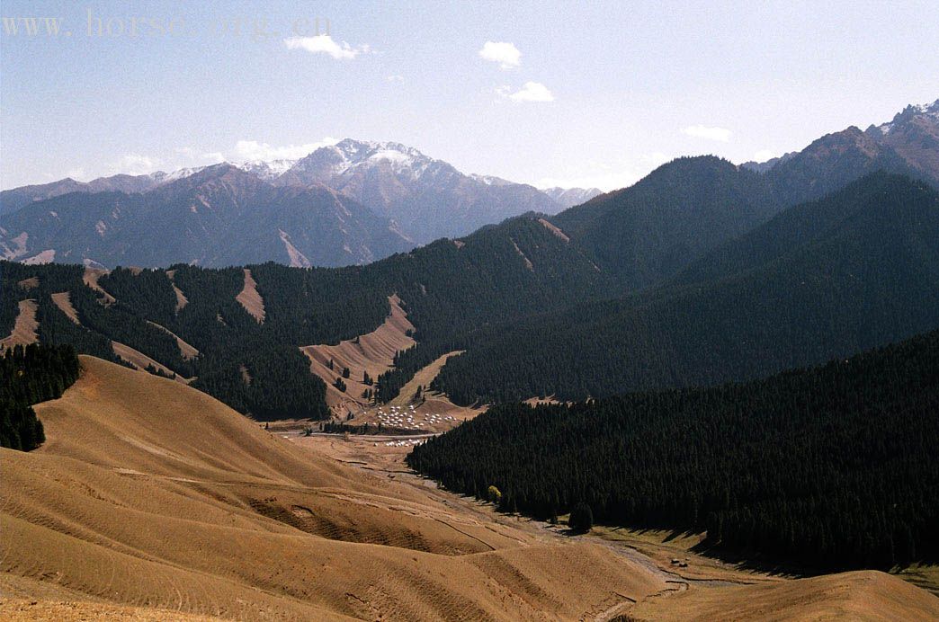 [贴图][原创]最美的还是我们新疆之天山牧场穿行