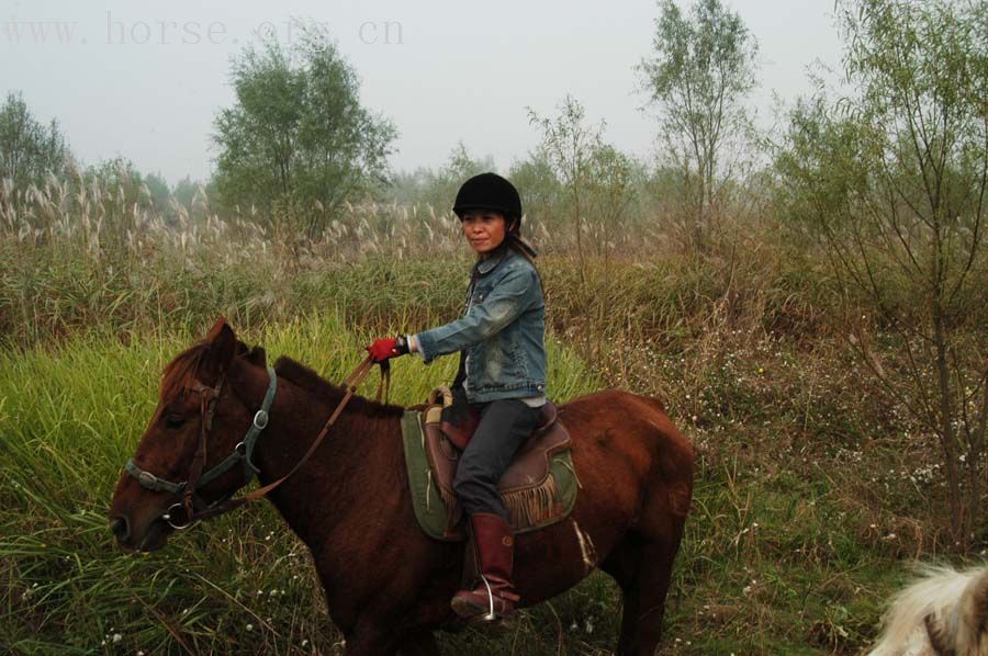 发几张周日 女骑士 图片