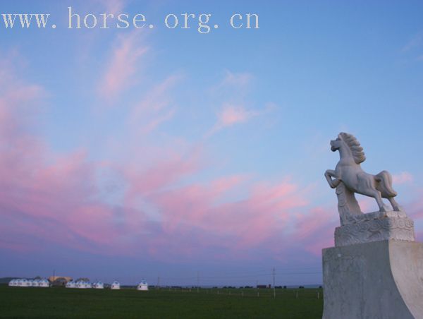 草原。。。海。。。马儿。。。我的夏天