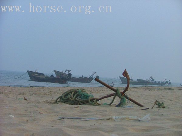 夏末的海。。。马儿。。。和我。。。