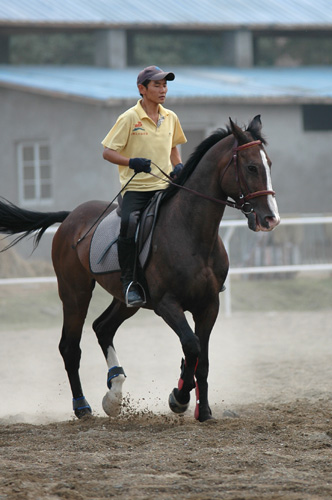 金秋首界杭州马友友谊赛 马友大狂欢----参赛美女,帅哥小照