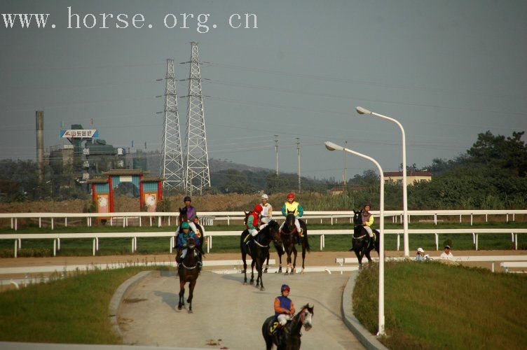 参赛队伍名册公布 安徽首次组队参加速度赛马