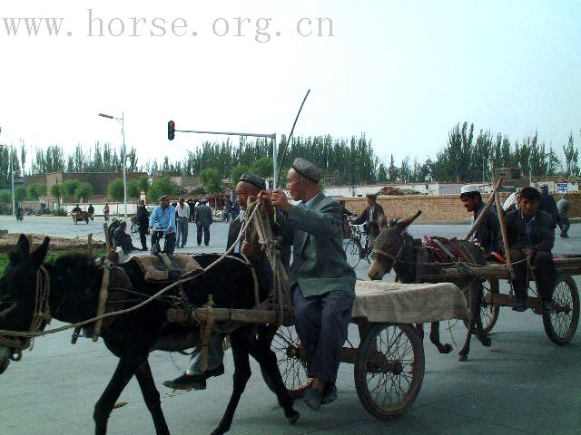 美丽的新疆我的家