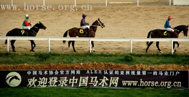 东道主首战夺金  北京队维持霸主地位——南京速度赛落幕