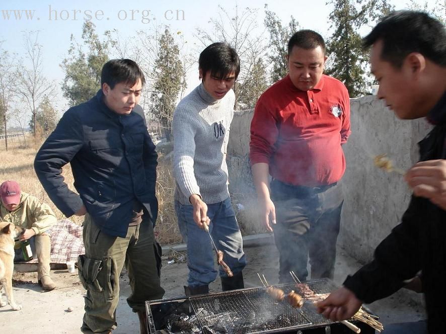 碧溪温泉饭店内马术俱乐部活动趣照