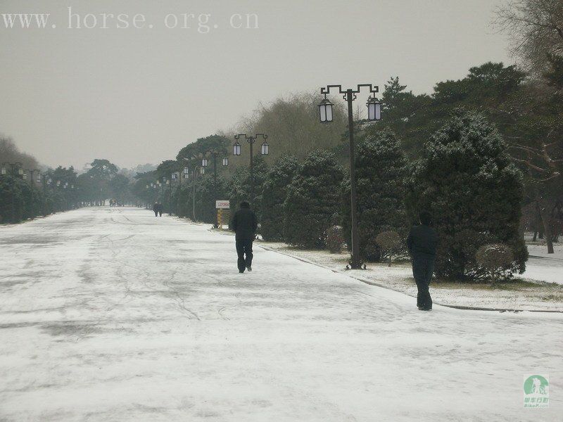 观雪景 打雪仗 吃涮肚 乐开怀