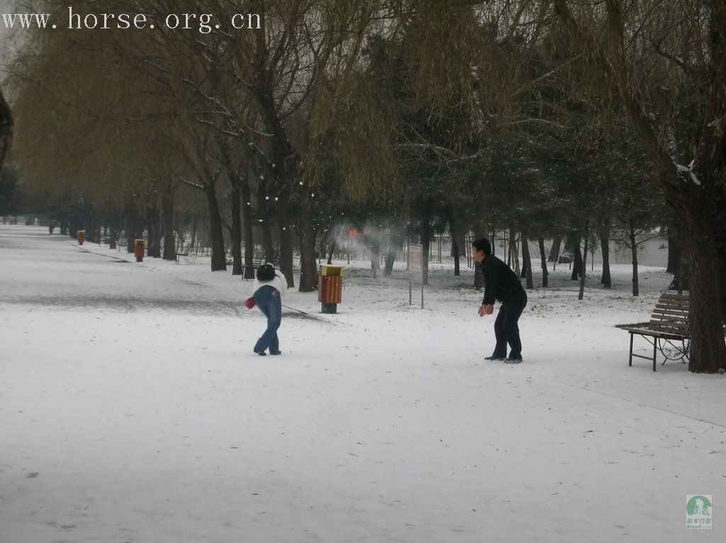 观雪景 打雪仗 吃涮肚 乐开怀