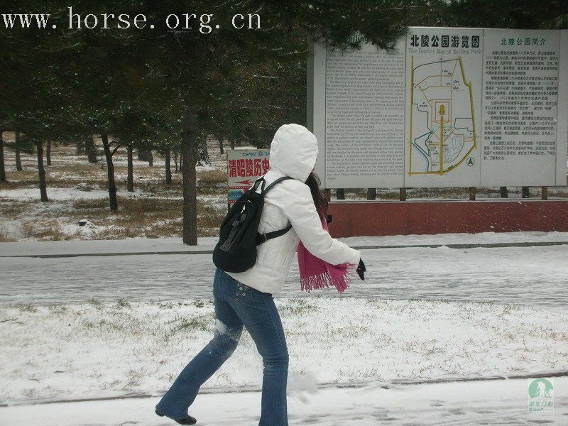 观雪景 打雪仗 吃涮肚 乐开怀