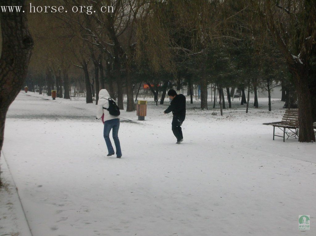 观雪景 打雪仗 吃涮肚 乐开怀