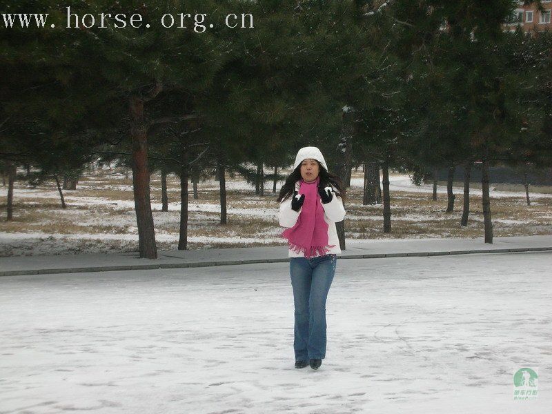 观雪景 打雪仗 吃涮肚 乐开怀