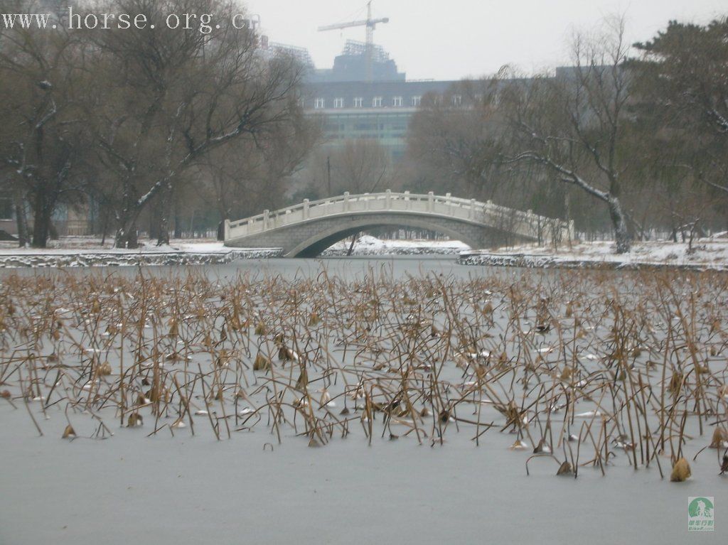 观雪景 打雪仗 吃涮肚 乐开怀