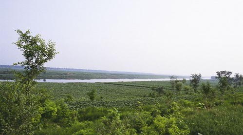 城际穿越（连载）