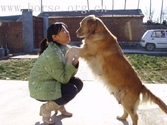 农家小院的漂亮姑娘和冬天的黄花长城