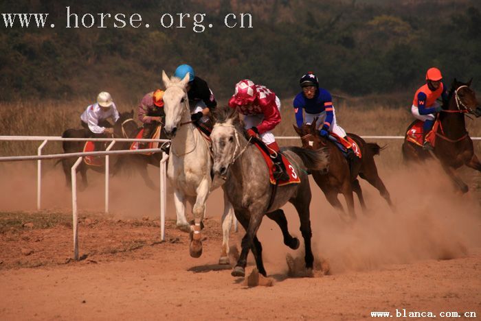 “乘风杯”两广速度赛马交流赛！将于12.23日在乘风寨举行！