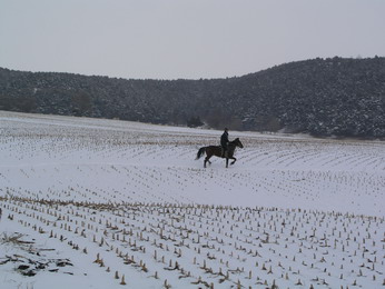 奉天骑兵营2006第四次年冬训活动