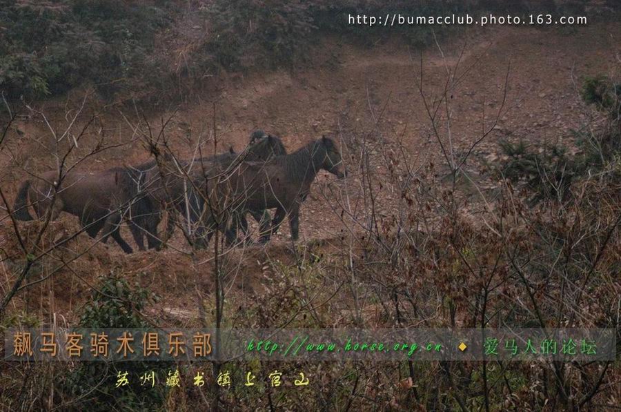 雾气蒙蒙飙马客