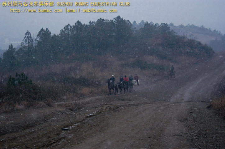 踏雪不见乌云（2）