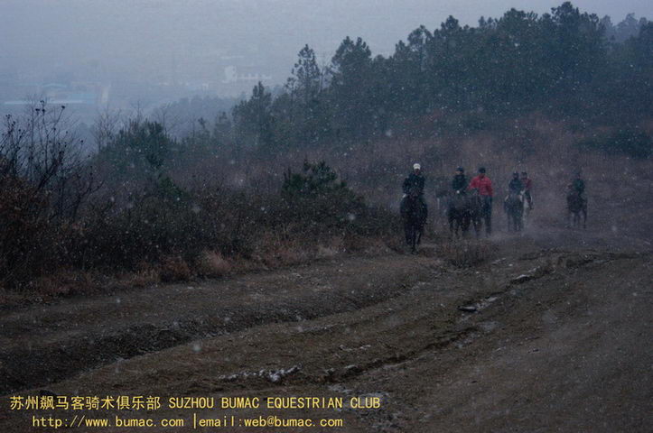 踏雪不见乌云（2）