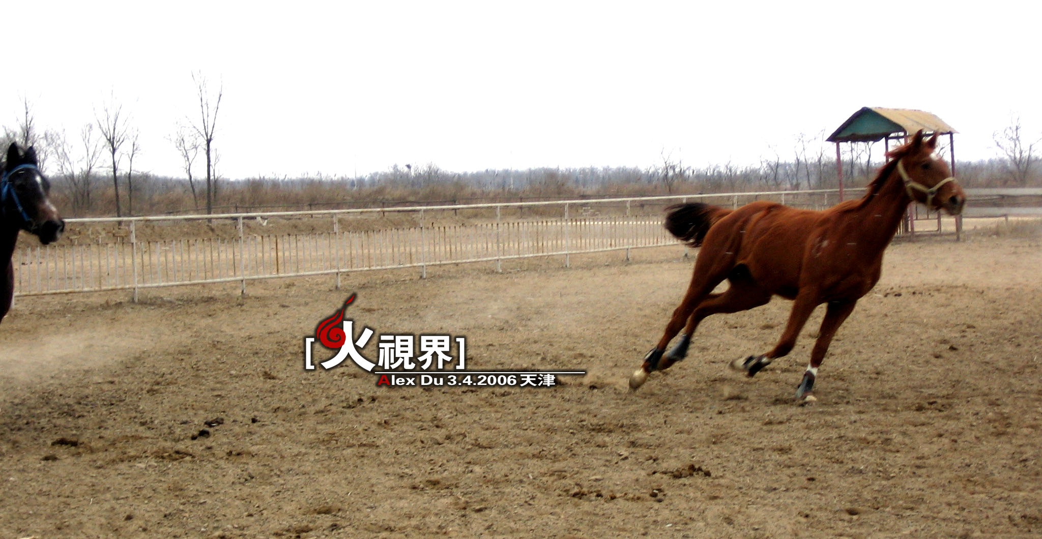 如何才能融化在风里