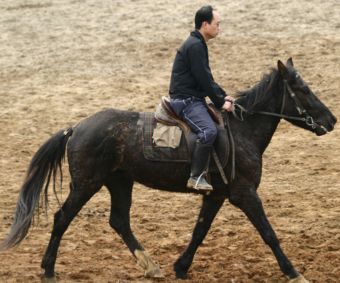 野骑、烧烤、篝火