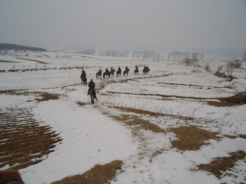 [贴图] 2006年3月4日照片集：初春时节，我心飞扬（二）