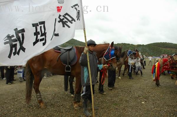 [公告]中甸赛马会！