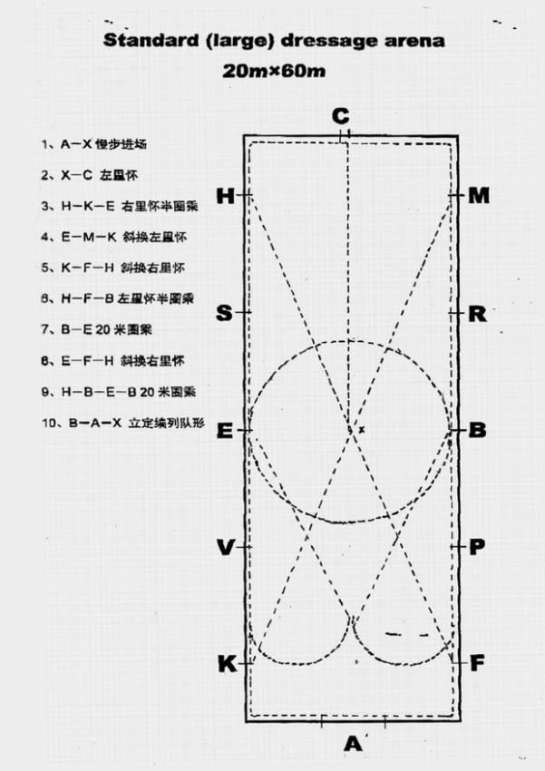 轉貼幾張上海馬友的辛苦訓練照