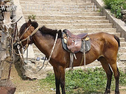 密云古北口野长城附近骑马休闲