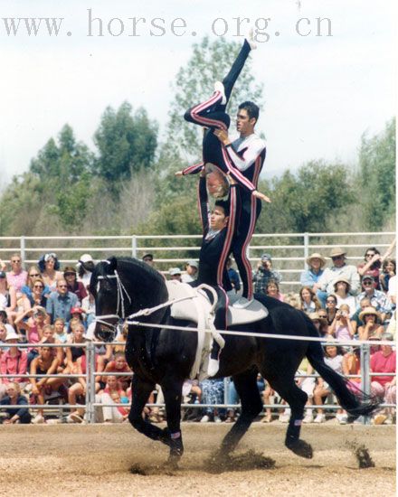 馬上體操舞技 Equestrian Vaulting 欣賞